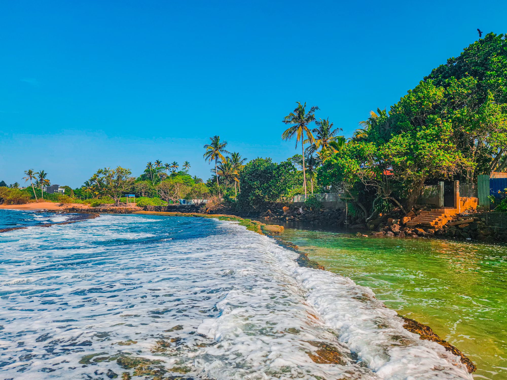 Culinary Journeys: Exploring Global Cuisine Through Travel